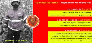 prevenção incendios florestais